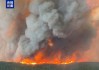 加拿大野火肆虐过火面积超7.3万平方公里
